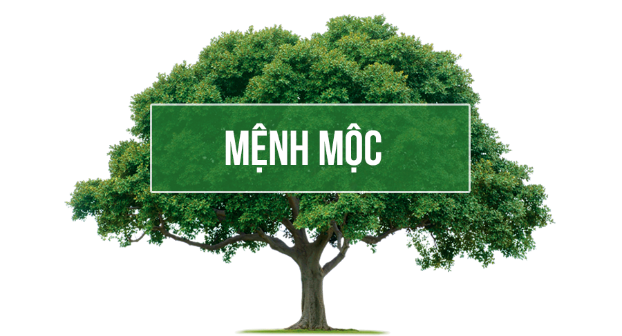 menh-moc